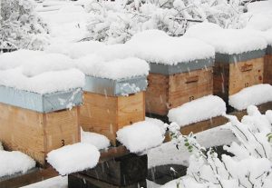 Imkerei Bienenhort Suderwich Recklinghausen – Bienenstöcke im Winter