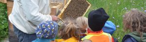 KITA-Gruppe RE-Kids des SBNH zu Besuch in der Imkerei Bienenhort Suderwich