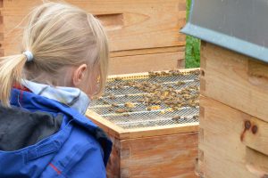 Imkereibesuch der KITA-Gruppe RE-Kids des SBNH in der Privat-Imkerei Bienenhort Suderwich