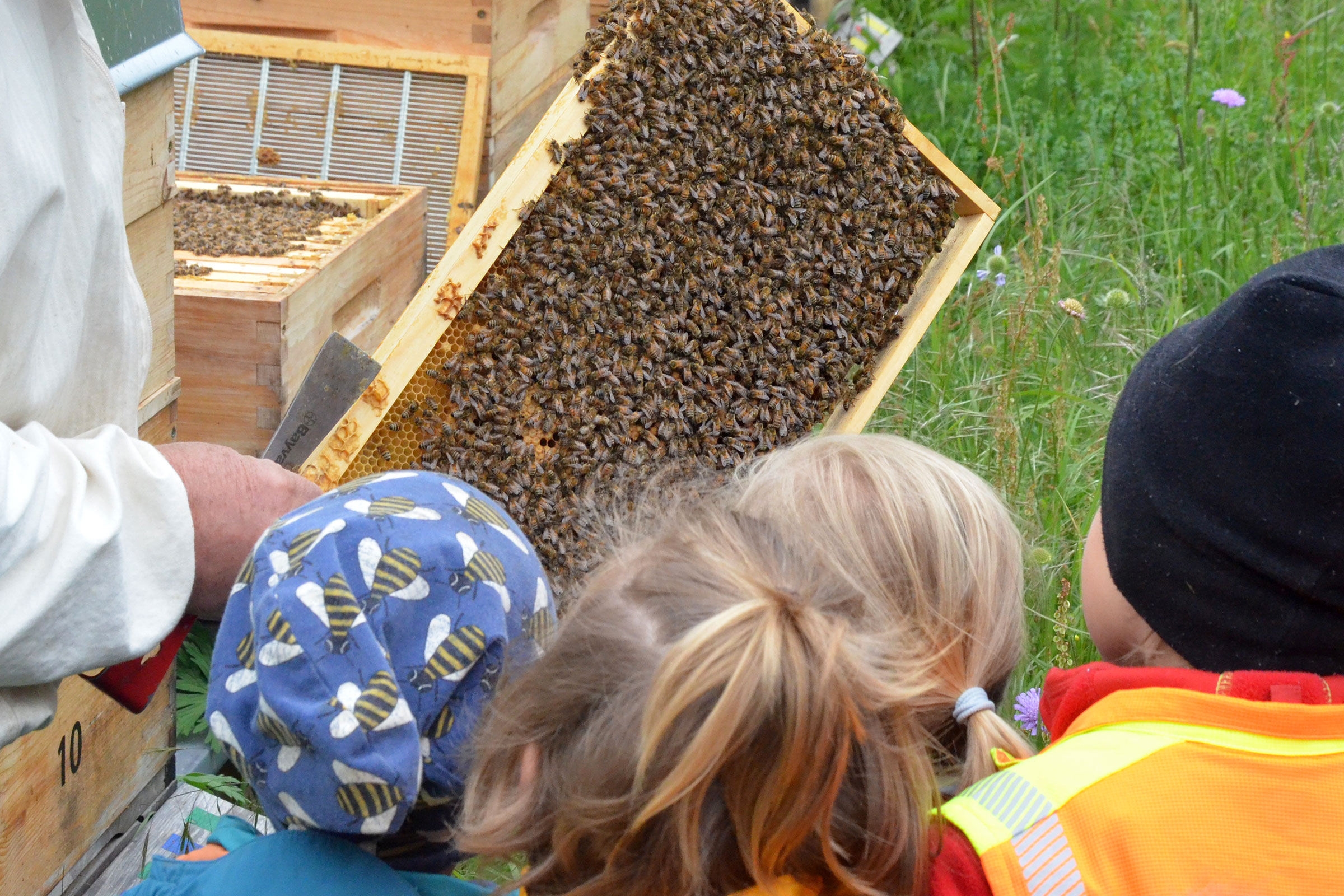 KITA-Gruppe RE-Kids des SBNH zu Besuch in der Imkerei Bienenhort Suderwich