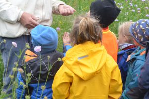 KITA-Gruppe RE-Kids des SBNH zu Besuch in der Imkerei Bienenhort Suderwich