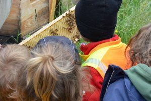 KITA-Gruppe RE-Kids des SBNH zu Besuch in der Imkerei Bienenhort Suderwich