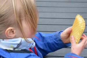 KITA-Gruppe RE-Kids des SBNH: Imkereibesuch Imkerei Bienenhort Suderwich