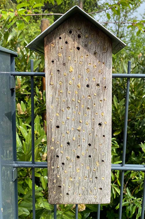 Bienenhotel Insektenhotel für Wildbienen Bienenhort Suderwich